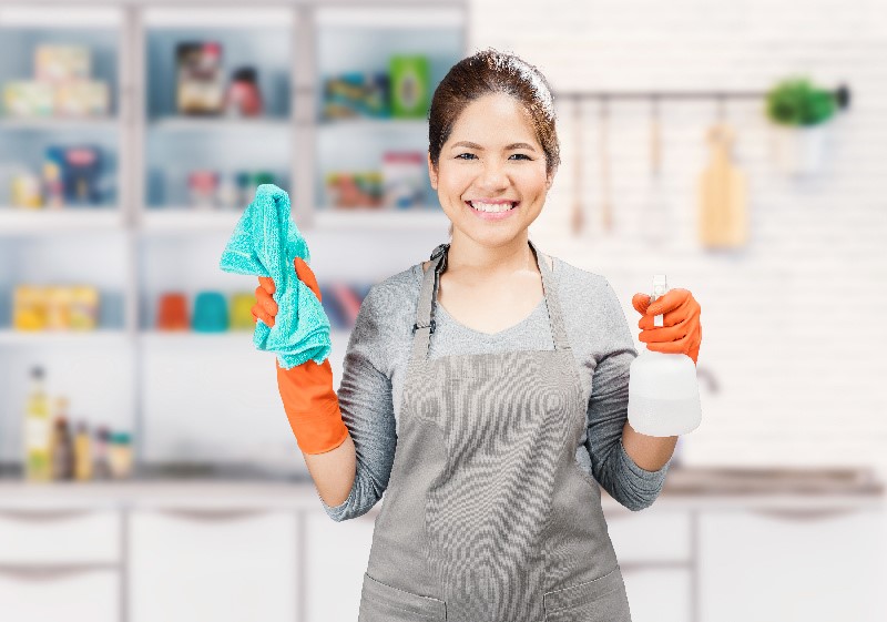 In the Service of Cleanliness Exploring the World of Housekeepers